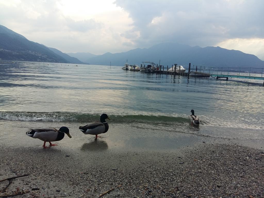 Casa Grillino Locarno