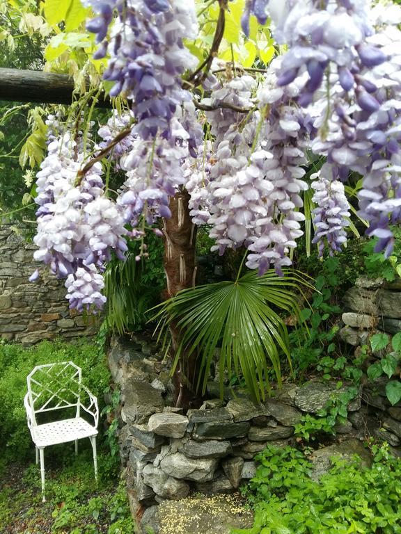Apartmán Casa Grillino Locarno