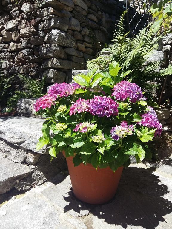 Apartmán Casa Grillino Locarno
